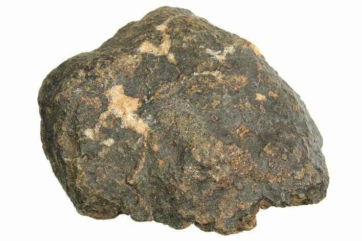 Chondrite Meteorite ( g) - Western Sahara Desert #296265